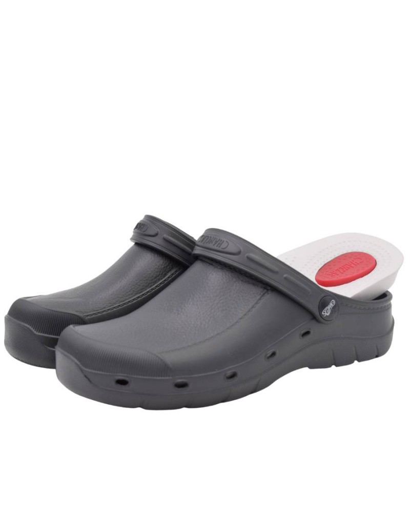 zueco sanitario chanclas