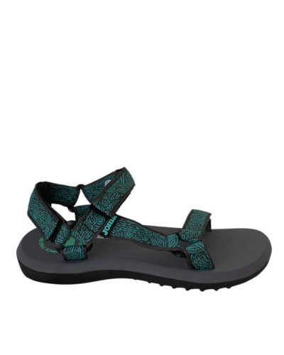 CALIFORNIANA JOMA LEO LADY